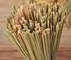 Il piatto di bambù a 11,8 pollici di sfregatura sfrega lo strumento domestico della cucina del ristorante della spazzola